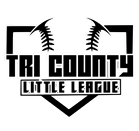 Three Fires Little League